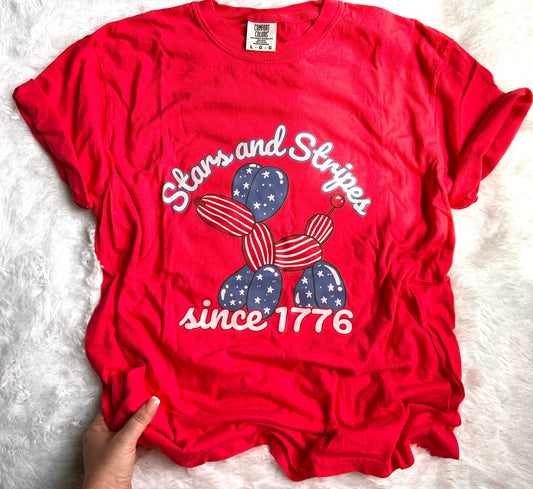 Stars & Stripes Graphic Tee (Closes 5/16)