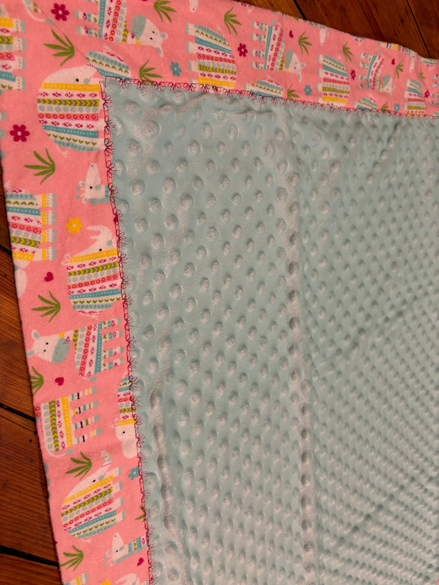 Baby Minky Blanket