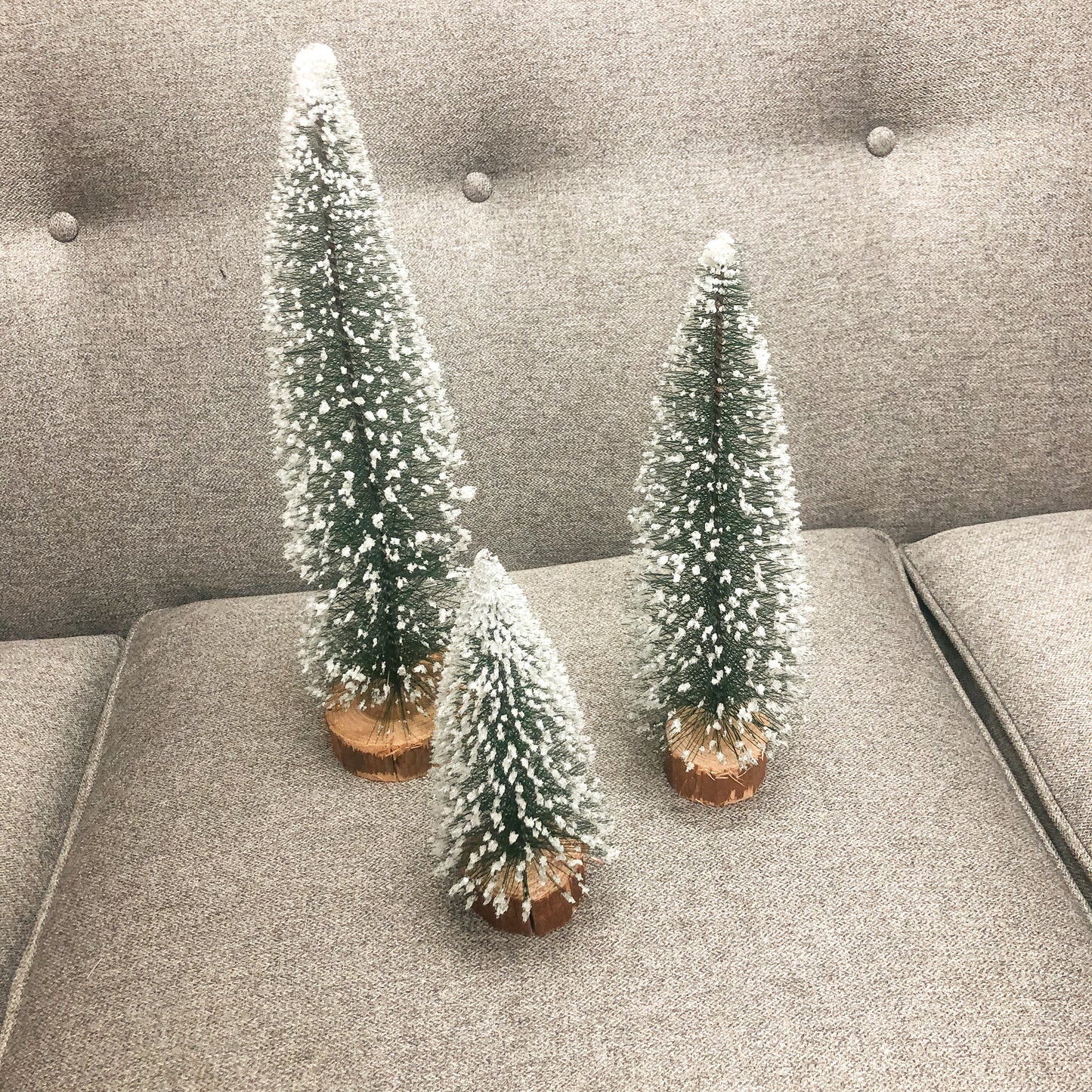 Frosted bottle brush trees